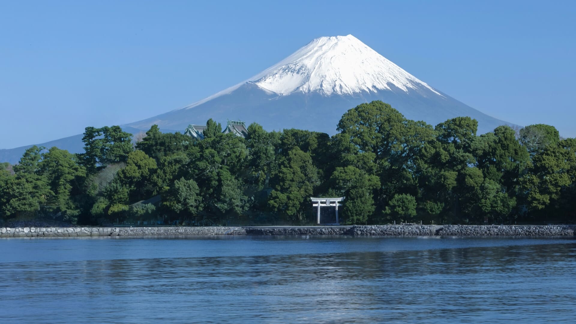 湖と富士山